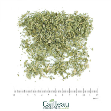 GUIMAUVE BIO feuille FRANCE...