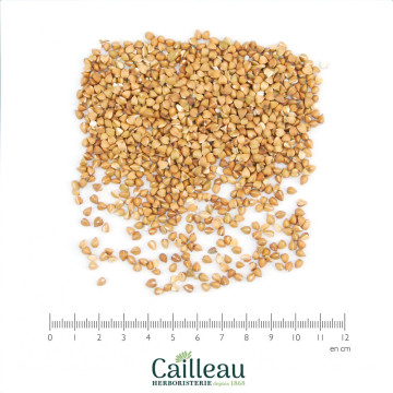 KASHA BIO graine