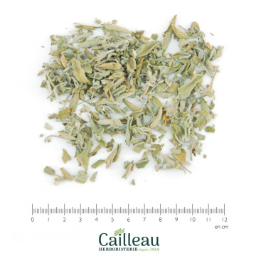 SAGE leaf, ORGANIC