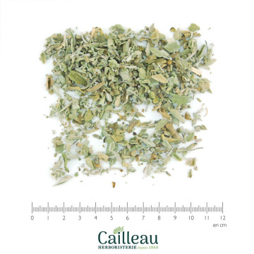 Hoja de SALVIA BIO, cortada