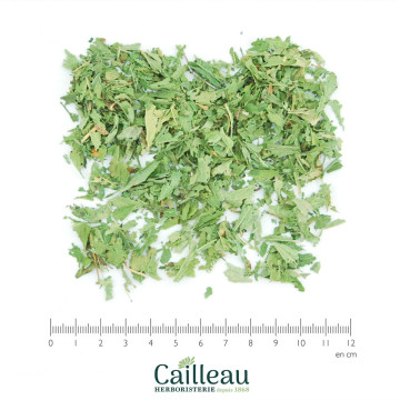 STEVIA BIO hoja cortada