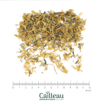 CARRAGAHEEN (CHONDRUS...
