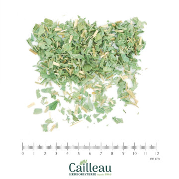 BUSH CLOVER aerial part,...
