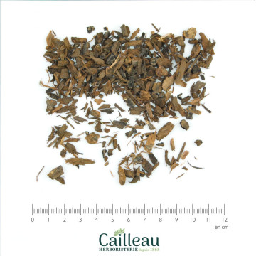 AFRICAN PRUNE bark cut