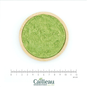 MATCHA TEA leaf powder ORGANIC