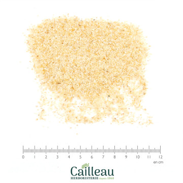 AIL SEMOULE graine 16/26