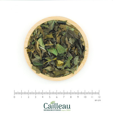 THE BLANC BAI MU DAN