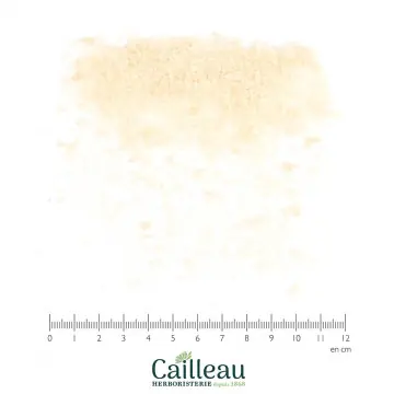 AGAR AGAR coupé