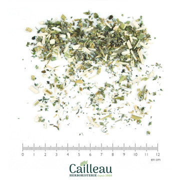 AGRIPAUME sommité coupé