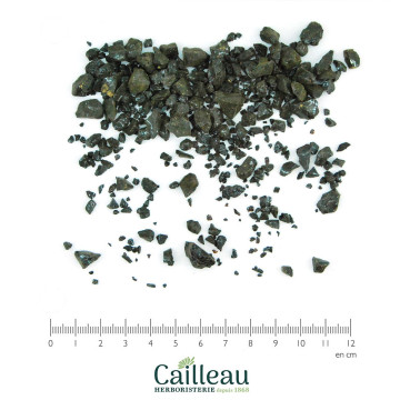 ALOES D'AFRIQUE DU SUD...