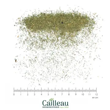 ANETH feuille coupé