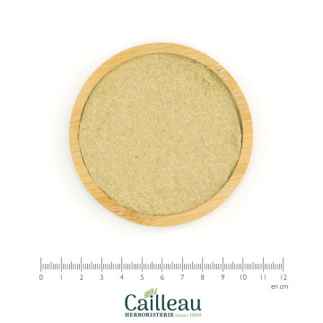 ARENARIA RUBRA (RED...
