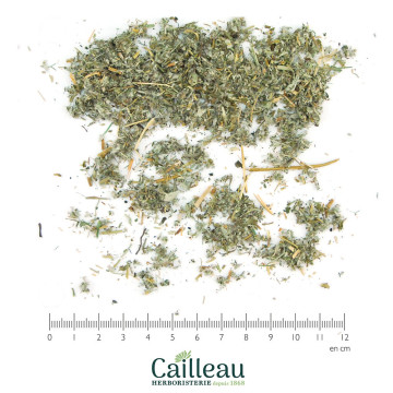 SILVERWEED aerial part cut