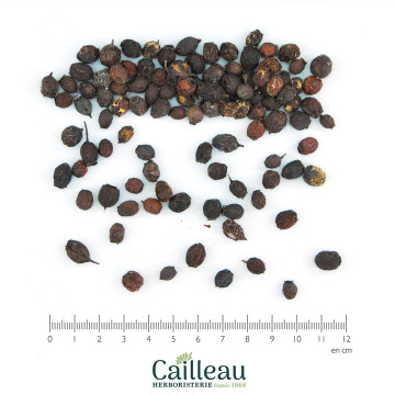 AUBEPINE fruta