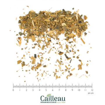 CANNELLE écorce morceaux coupé