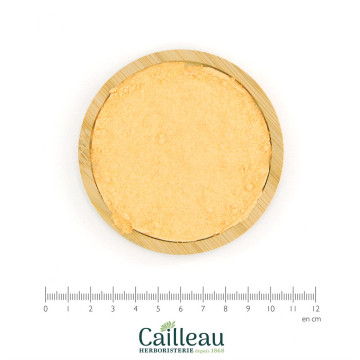 CAROTTE racine poudre