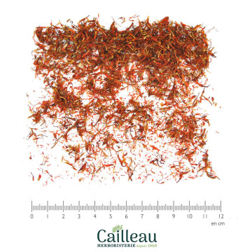 CARTHAMUS cabeza de flor