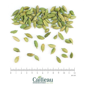 CARDAMOME fruta
