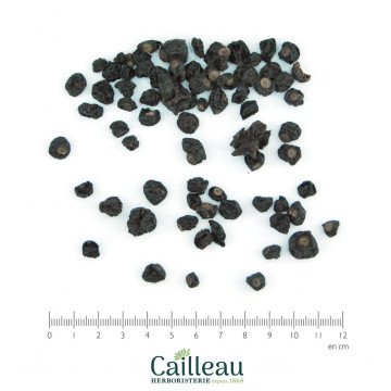 BLACKCURRANT berry