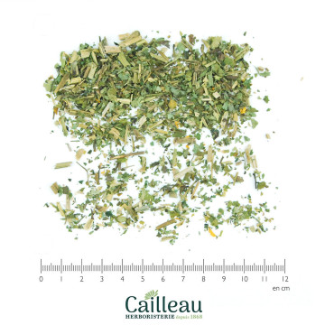 CELANDINE (GREATER) aerial...