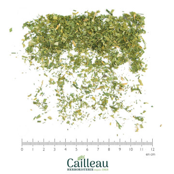 CHIVE leaf cut