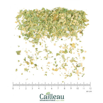 LEMON leaf cut