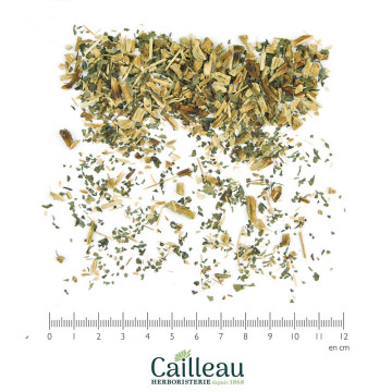 COCHLEARIA hoja cortada