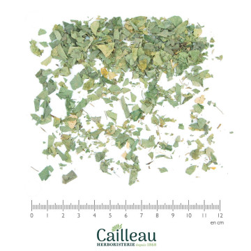 DESMODIUM leaf cut