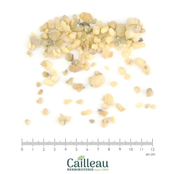 FRANKINCENSE tears (for...