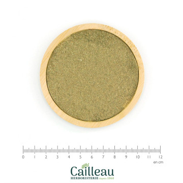 HERB ROBERT aerial part powder