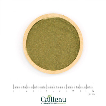 Polvo de hoja de GINKGO