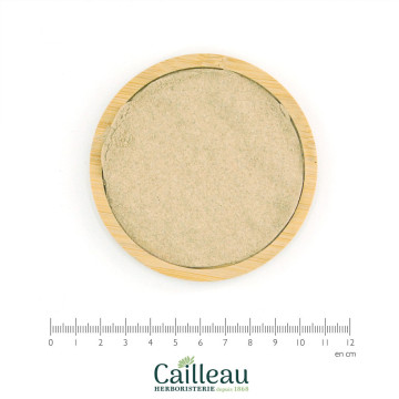 DEVIL'S CLAW root powder