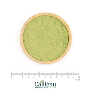 DATE, RED (JUJUBE) leaf powder