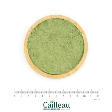LIERRE GRIMPANT feuille poudre