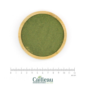 LOVAGE leaf powder