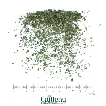 MENTHE POIVREE petite...