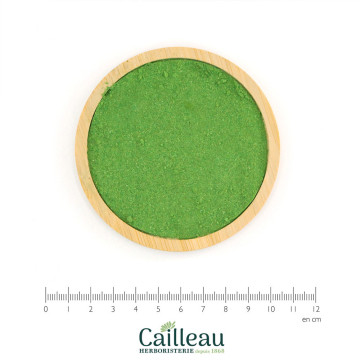 Polvo de hoja de MORINGA