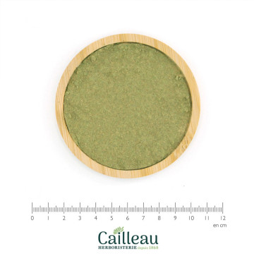 Polvo de hoja de MYRTILLE