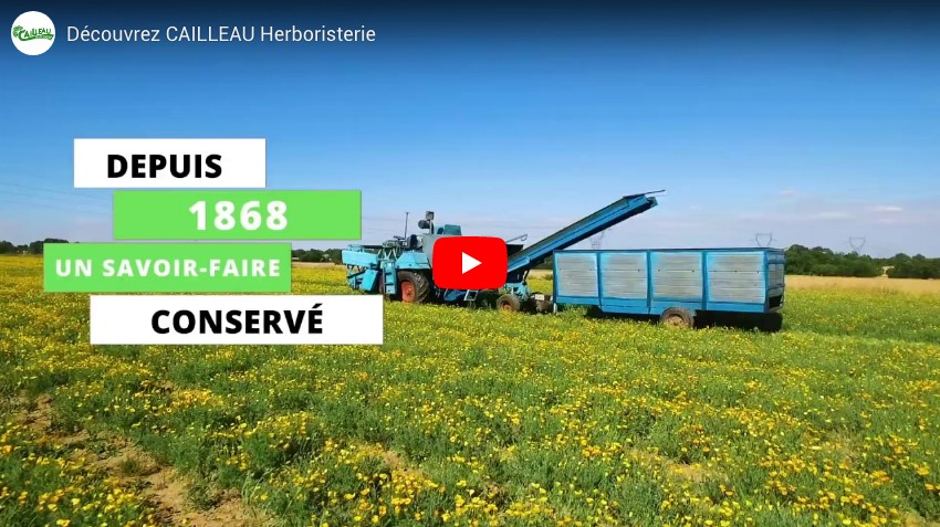 Go behind the scenes at Cailleau Herboristerie in video